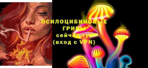 Альфа ПВП Арсеньев