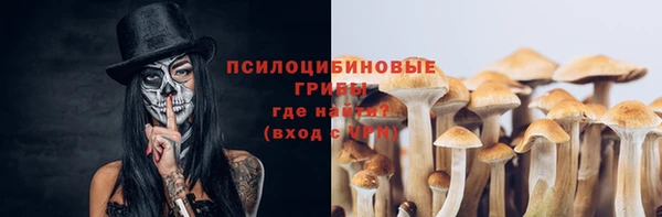дмт Аркадак