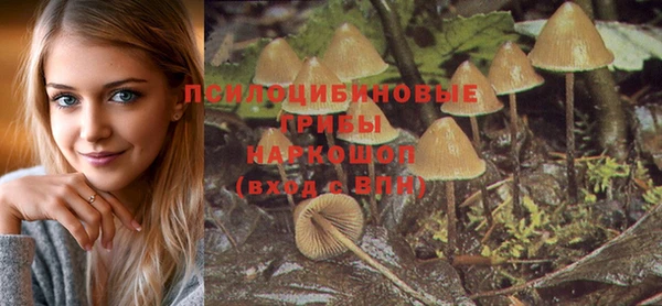 Альфа ПВП Арсеньев