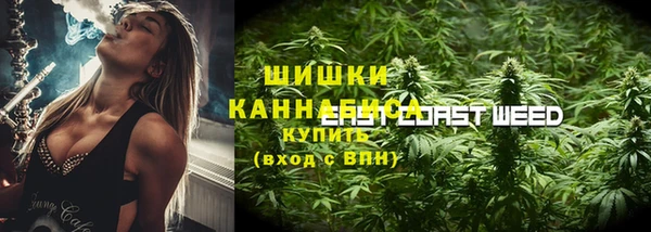 Альфа ПВП Арсеньев