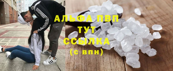 дмт Аркадак