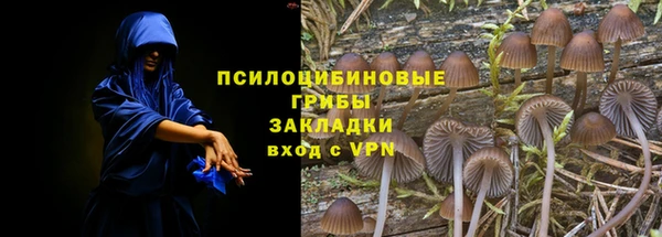 Альфа ПВП Арсеньев