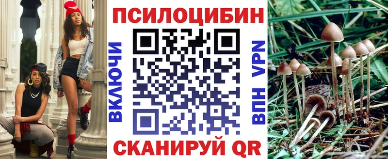 Галлюциногенные грибы Magic Shrooms  наркота  darknet официальный сайт  Георгиевск 